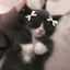Kesha5 avatar