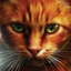 Squirrelflight avatar