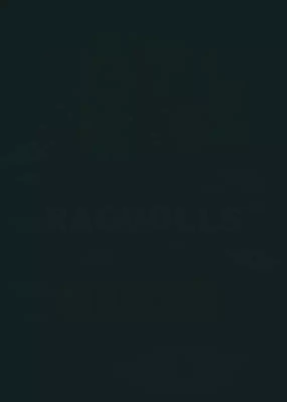 Game by @minoncrismas