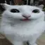 P_user avatar