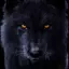 XeratheShadowWolf avatar