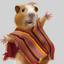 Zoroeni avatar