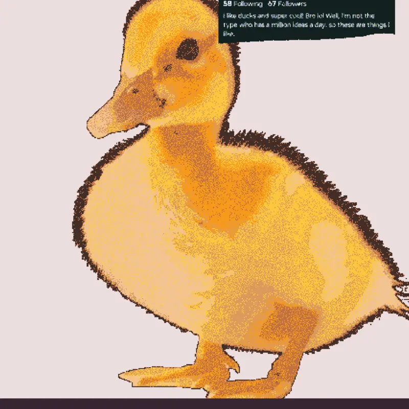 The Grand party from ducks by @kid_duck