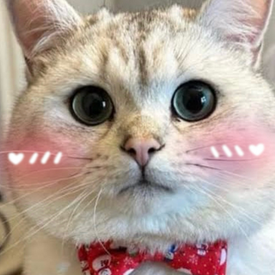 @LavenderRiseriCute_2025