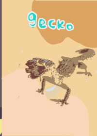 take care of gecko