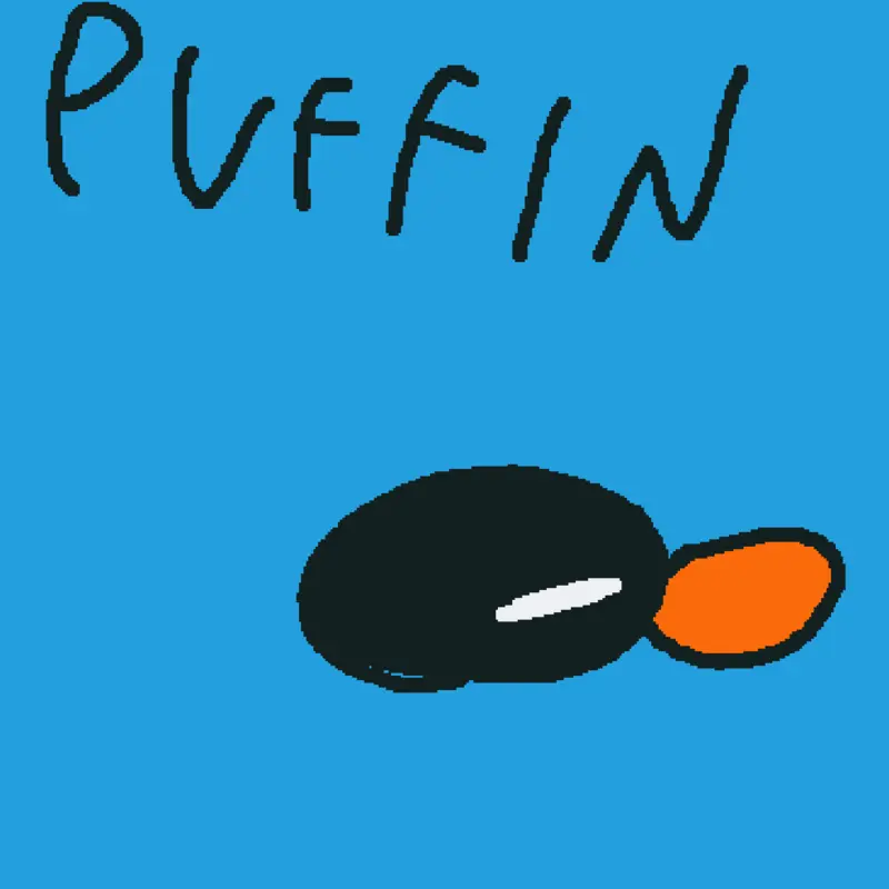 Puffin island by @Kailoohoot