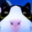 antidoge avatar