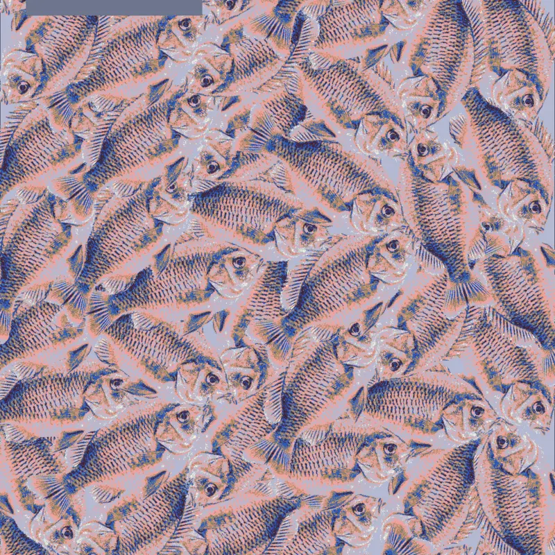 Fish button by @rybuiscut