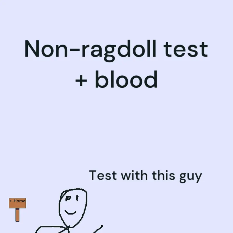 Ragdoll test 5 by @aszreikosa_42280