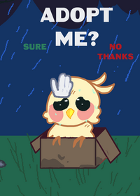 Adopt a cockatiel!