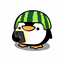 pingimelon2 avatar