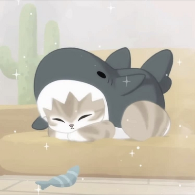 @meow_shark