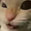heoheon avatar