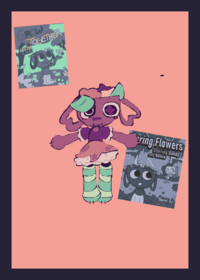 Bassie ragdoll