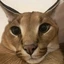 CAPEROTHUG1 avatar