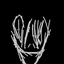 deathbed3 avatar