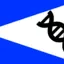 hel98 avatar