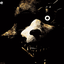 Corrorop8989 avatar