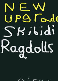NEW UPGRADE