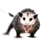 Yarylo avatar