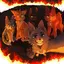 agilefangthegreyfox avatar