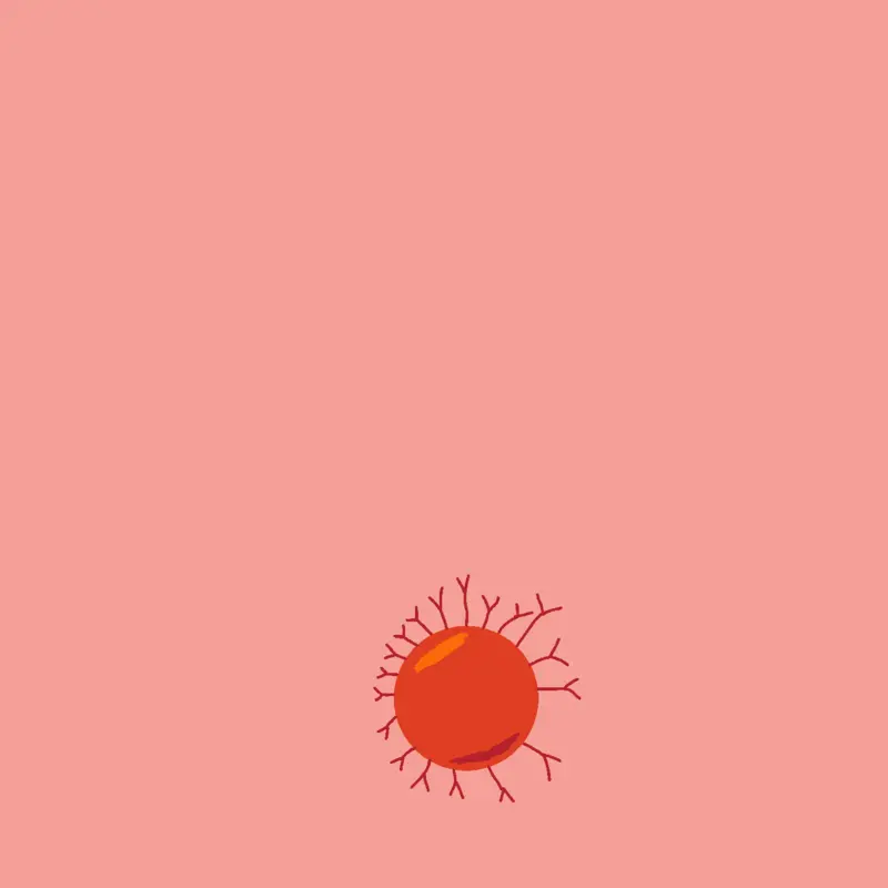 Game by @kadenluke2416