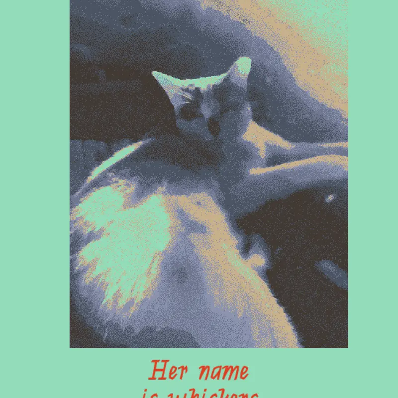 I like the kitten,do you like the kitten by @Bitter_lucky