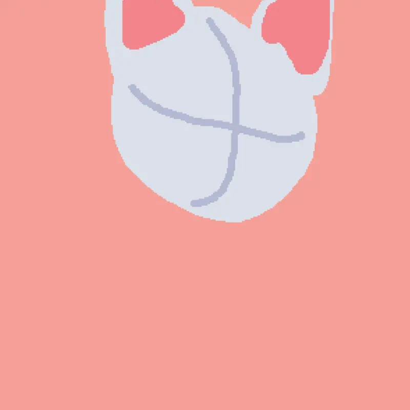 :> by @DionnHouston