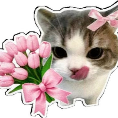 @shasha13