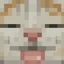 Castibility avatar