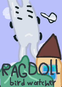 Ragdoll bird watcher ¡new ragdoll!