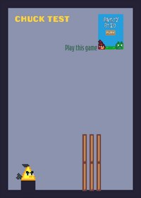 Chuck the fast bird