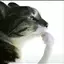 P_user avatar