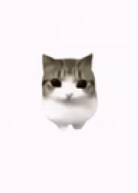 CLICK HERE