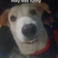 imcheese avatar