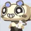 shellys-fav avatar