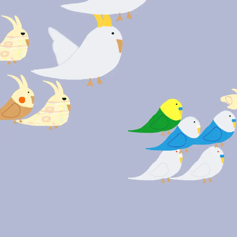 Bird by @-_parrot_-