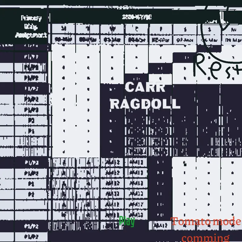 Carr ragdoll by @chl0e45