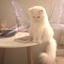 PawProductions avatar