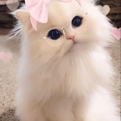 @tamara13