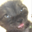 lil_creatornoraahhh avatar