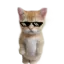 ElGatoRweal avatar