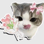 LalaGirl__ avatar