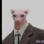 bingus56Al- avatar