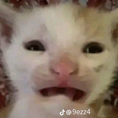 @C0olDev