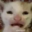 C0olDev avatar
