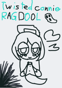 ragdoll twisted connie joined today!