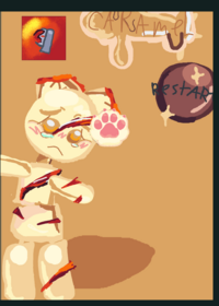 Caramel kitty ragdoll