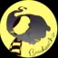 brochaxcho avatar