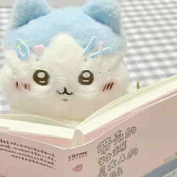 @is_cat_NOW